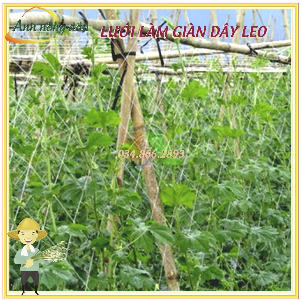 100m Lưới làm giàn dưa leo dưa chuột, mướp, đậu kích thước 1.8 x 100m