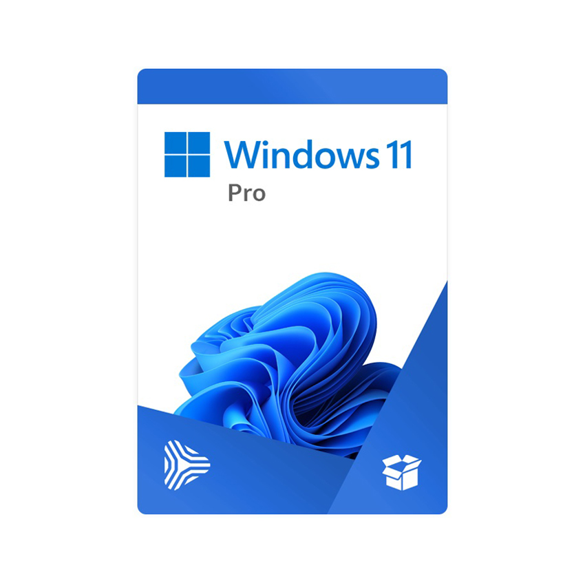 WINDOWS 11 PRO 64BIT ENG INTL 1PK DSP OEI DVD - Hàng chính hãng