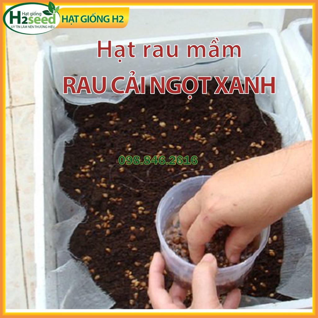 Gói 100g Hạt rau mầm rau cải ngọt xanh - chất lượng tốt, nảy mầm đều