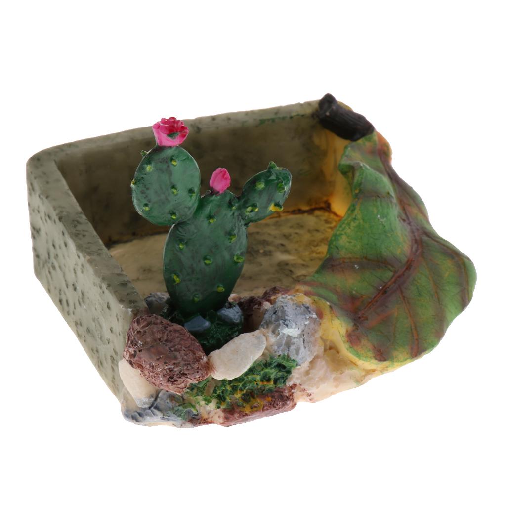 Reptile Food Water Dish Vivarium Decoration