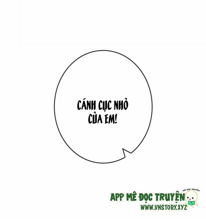 con tim rung động 2 chapter 14 3