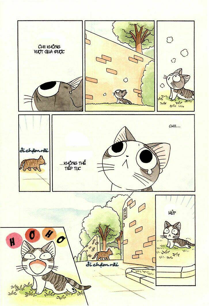 chi's sweet home chapter 82 9