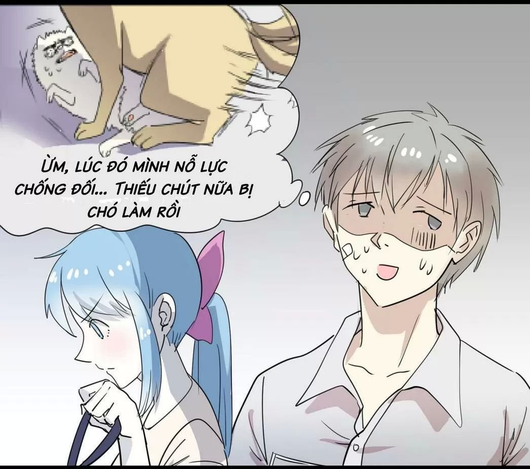 một con chó chapter 55 4