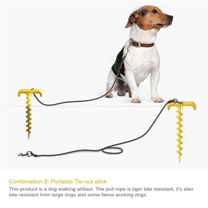 - Luyện Răng Thú Cưng Khoẻ và Sạch Pin Dog Leash