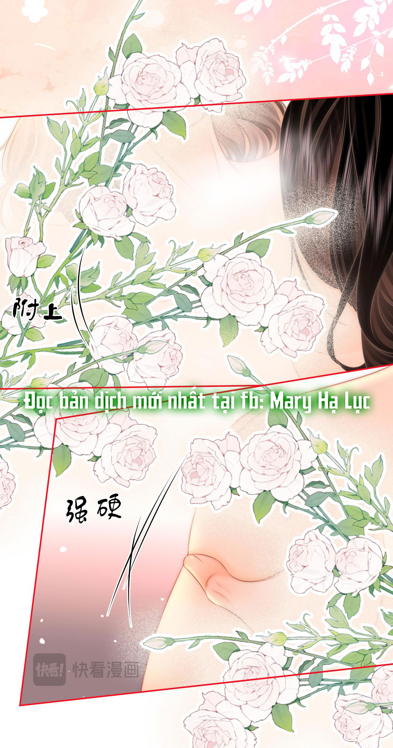 cố tiểu thư và khúc tiểu thư chapter 131 25