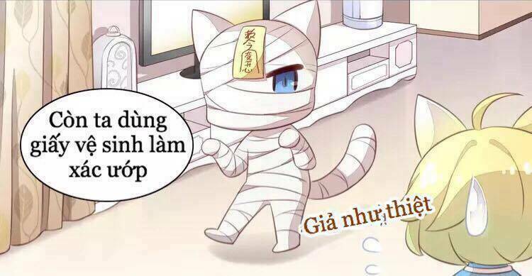 dưới móng vuốt mèo chapter 18 43