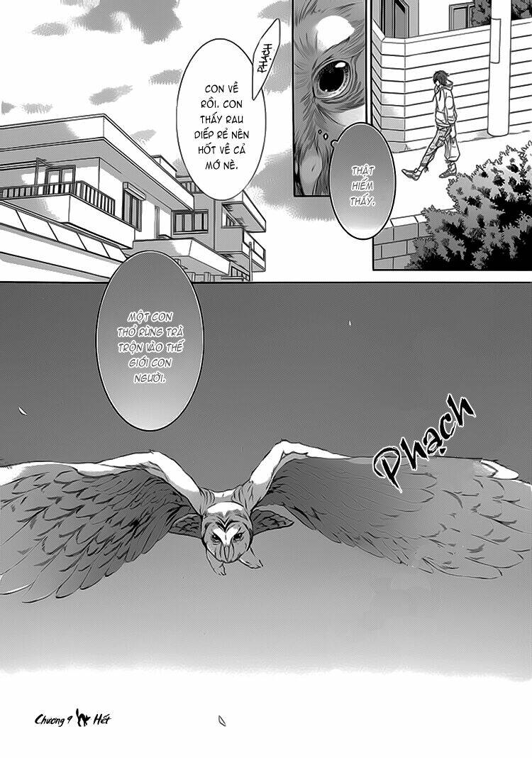 oinarisama no honey bunny chapter 9 37