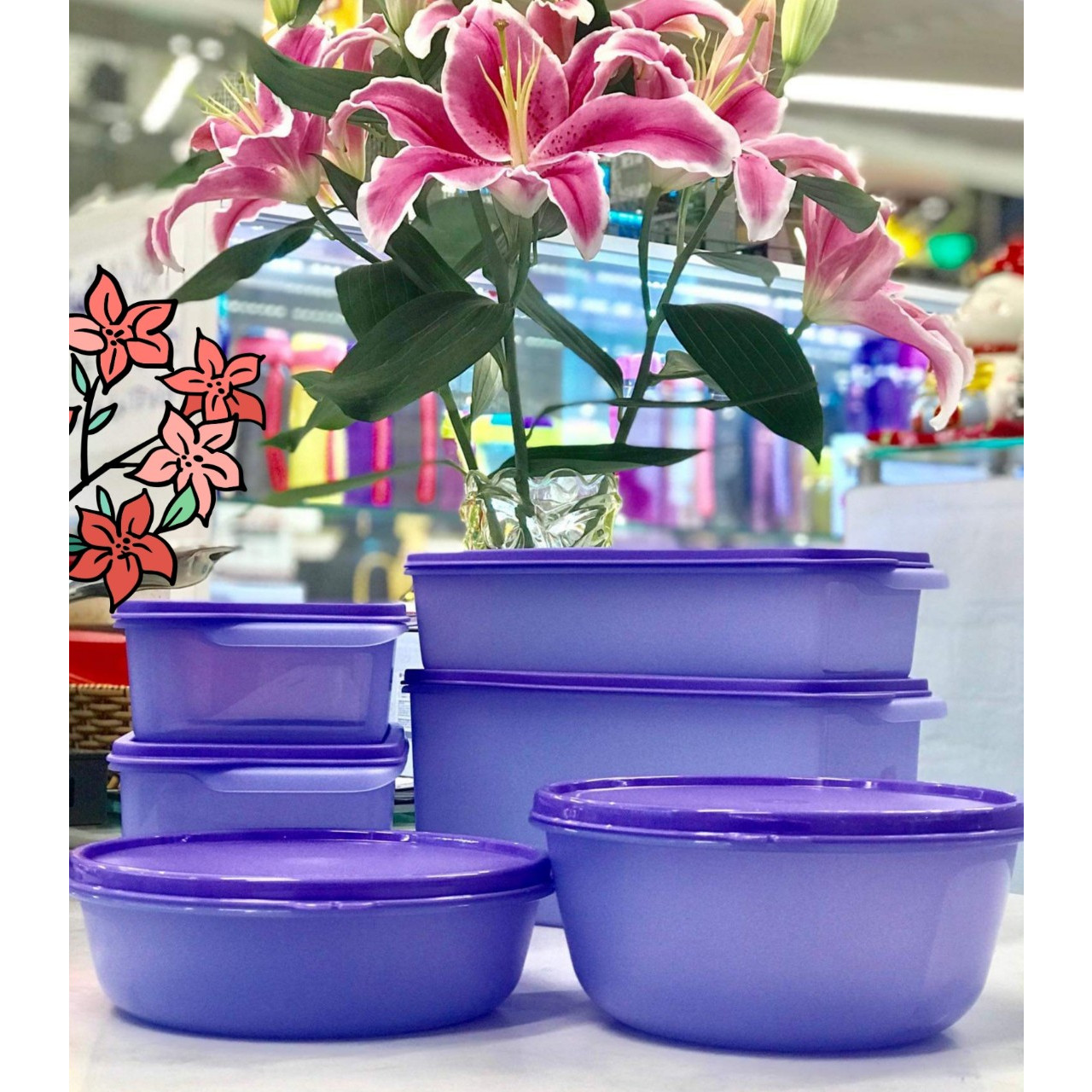 BỘ 6 HỘP BQTP NGĂN MÁT TUPPERWARE