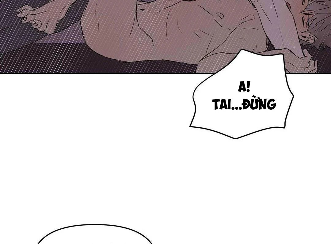 guide cấp b chapter 21 100