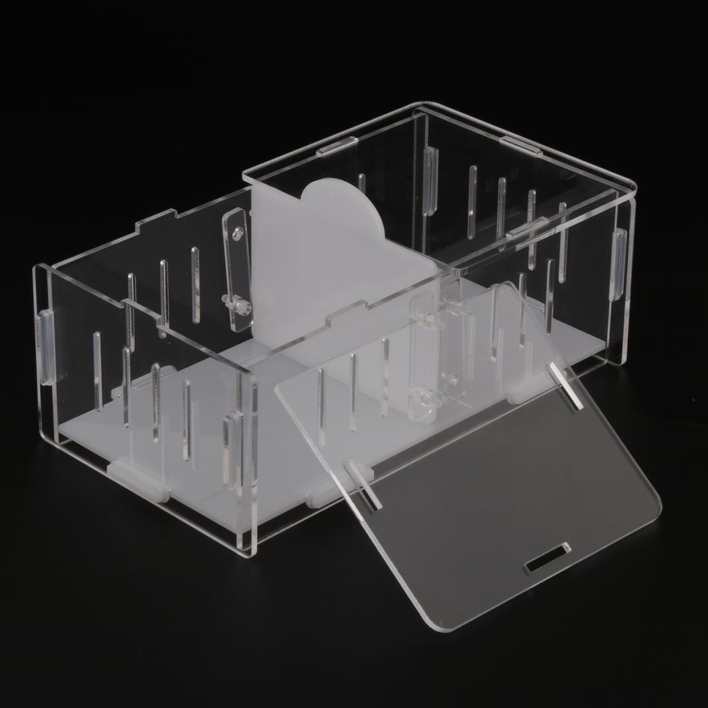 1x Reptile Cage Food Feeding Container For Spider Frog Cricket Turtle