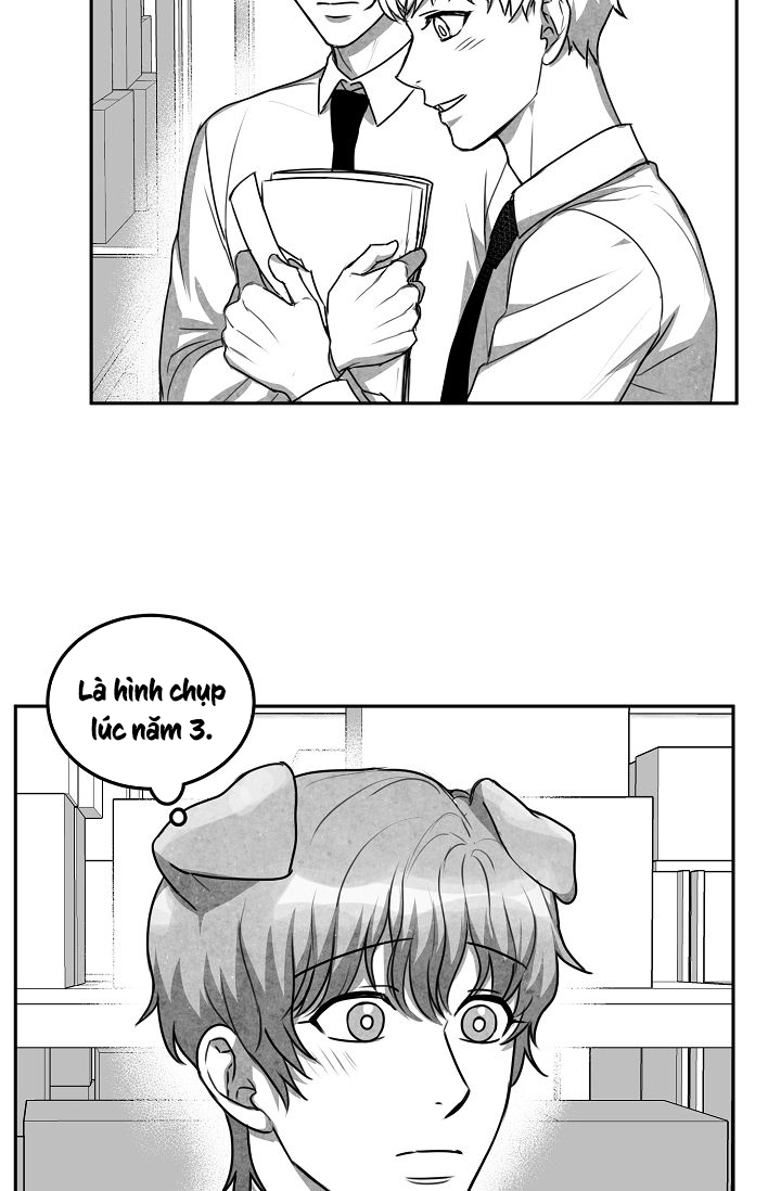 khi cún biết yêu chapter 11 47