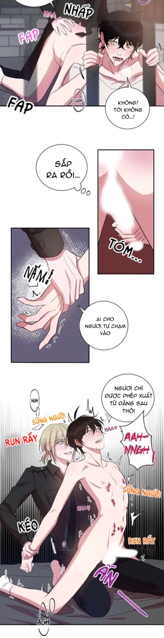 khẩu vị và sự tôn thờ của người yêu tôi chapter 21 11