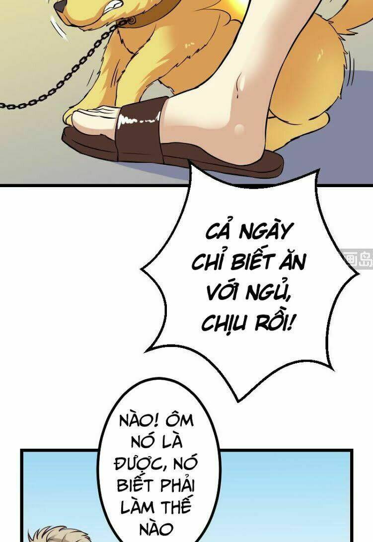 ngưu thư cung ứng thương chapter 44 15