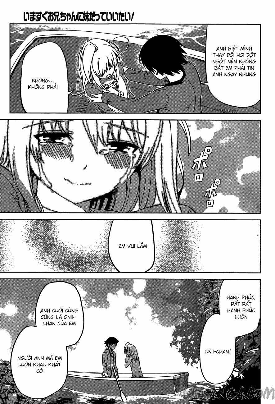 imasugu oniichan ni imouto datte iitai chapter 12 24