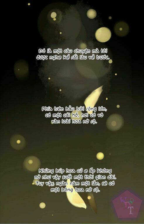 một ngàn cánh hoa chapter 0 3