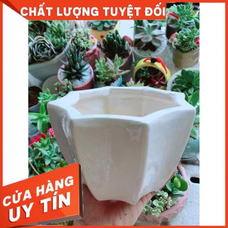 Chậu tráng men Nhiều Người Mua