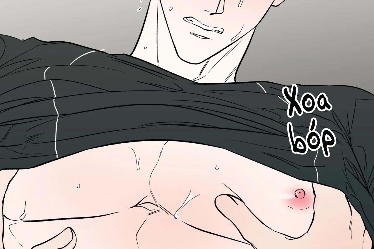 ám ảnh pheromone chapter 55 65