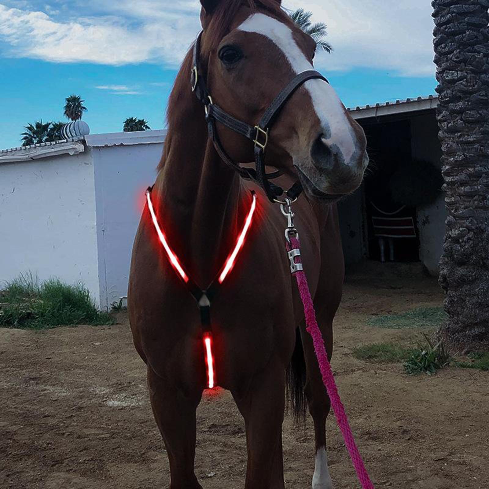 USB LED Horse Breastplate Collar Halter Chest Visibility Horse Riding Bridle