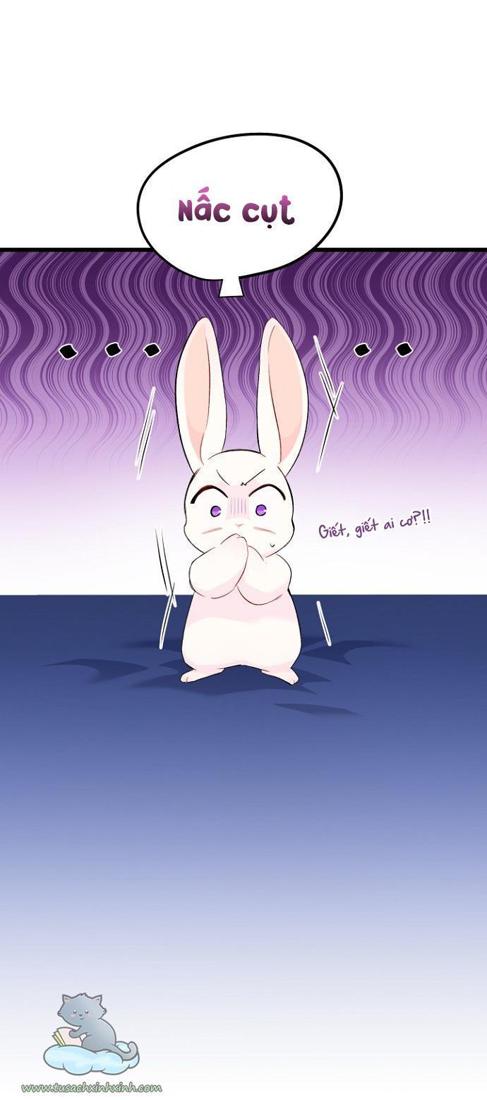 quan hệ cộng sinh giữa báo đen và thỏ trắng chapter 47 15