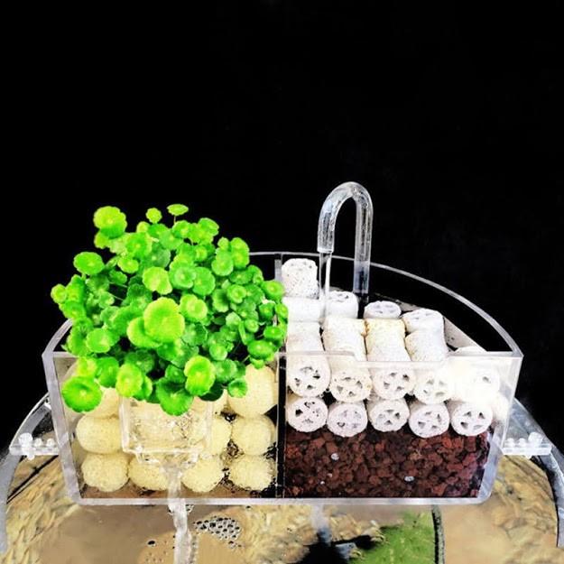 Hộp lọc acrylic cho bể cá tròn