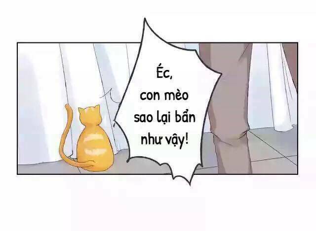 tôi không phải đa nhân cách chapter 17 12