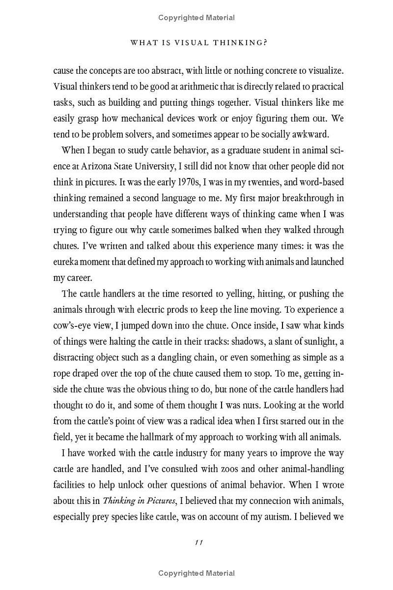 Sách ngoại văn: Visual Thinking