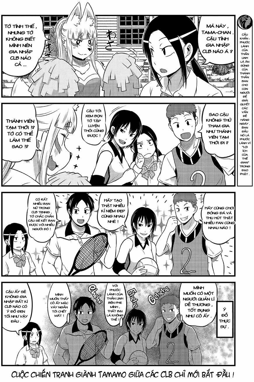 high school inari tamamo-chan ! chapter 12 5