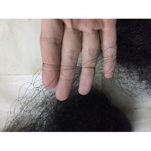 Lưới Bắt Chim dài 30m hàng loại 1 lưới singapore bắt CHÀO MÀO, CHÒE, MI, KHỨU, SÁO, cu gáy giá siêu rẻ - - đại h