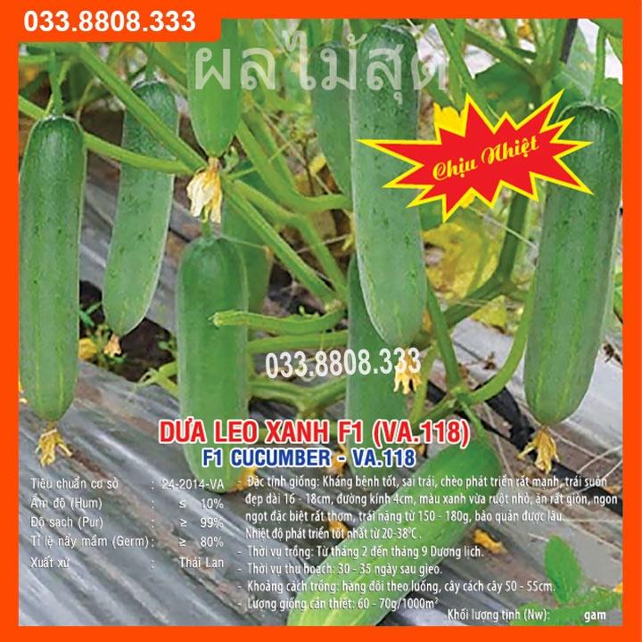 Hạt Giống Dưa Leo Xanh F1 10gram-Dưa Quả Đẹp
