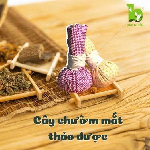 Cây Muối chườm mắt Thảo Dược 100gr - Giảm thâm quầng mắt , Thư giãn Bảo Nhiên