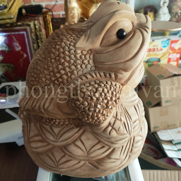Cóc Xá Xịphong thuỷ cao 30cm - vật phẩm phong thuỷ