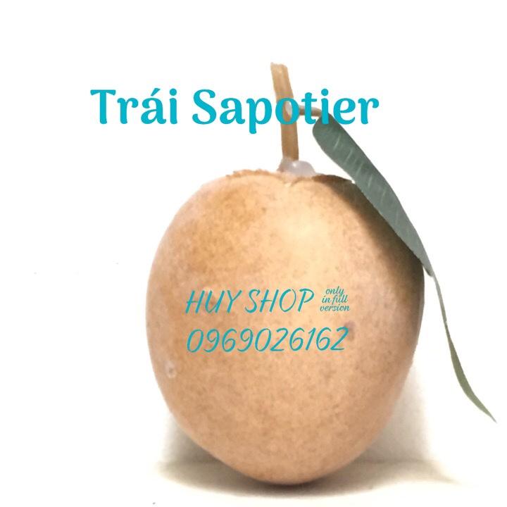 1 Trái SAPOTIER, Sapoche nhân tạo - Trái Cây giả