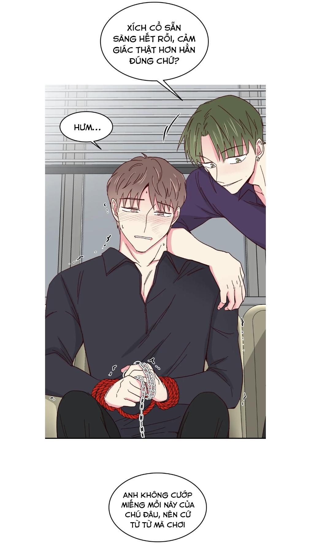 món tráng miệng của sếp tổng chapter 57 19