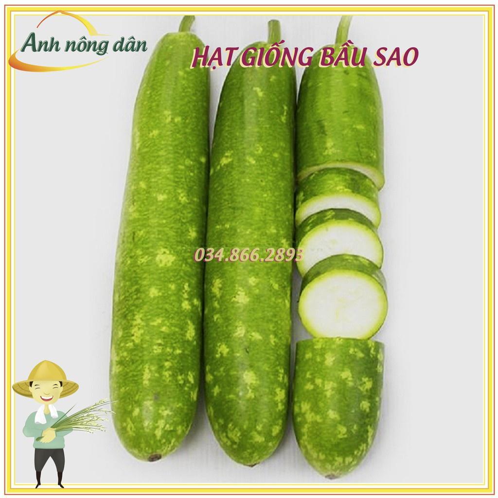 Gói 10 Hạt giống bầu sao F1