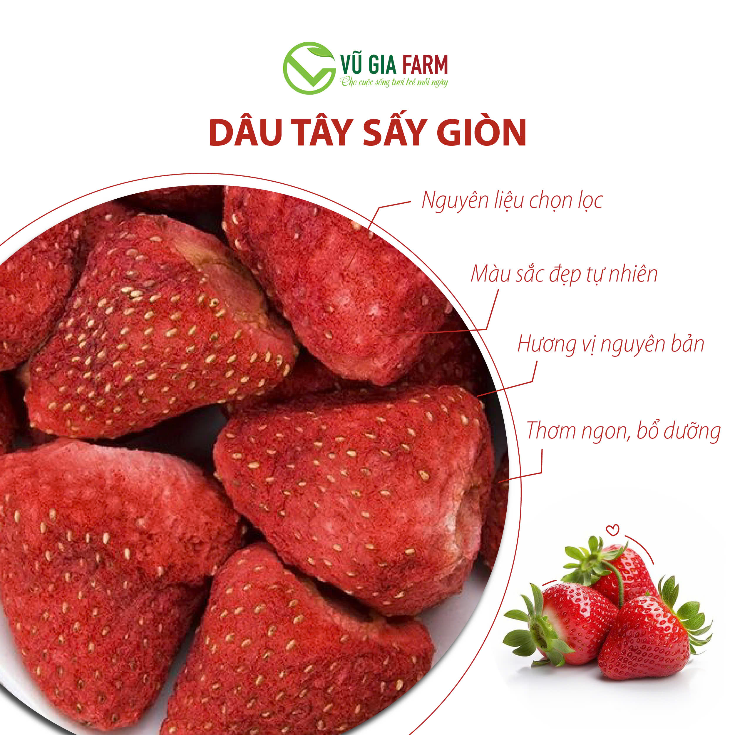 Dâu Tây Sấy Thăng Hoa Nguyên Quả (60g/hũ) - giòn, không đường, chua ngọt nguyên vị