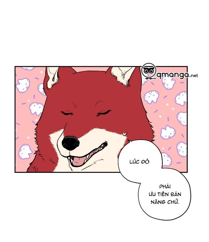 gâu gâu! chapter 19 20
