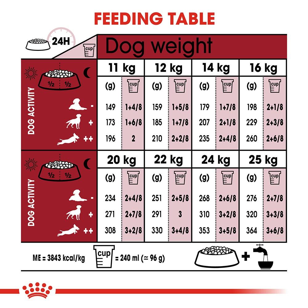 [1kg] Hạt Royal Canin Medium Adult Cho Chó Trưởng Thành Size Vừa