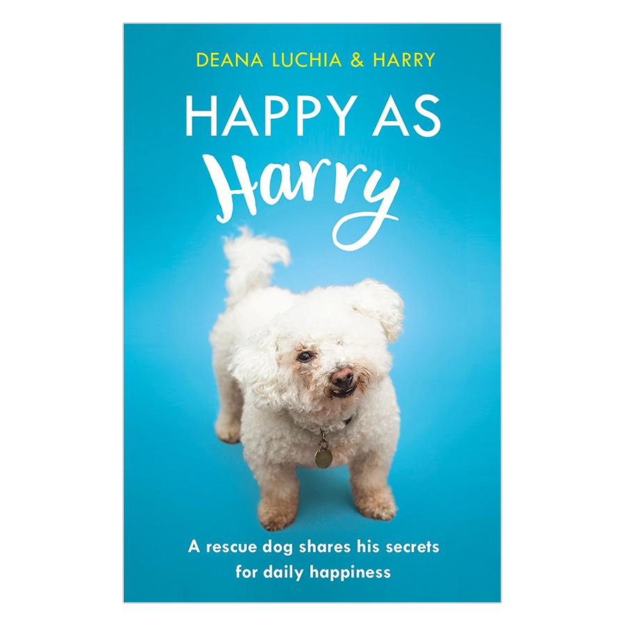 Mua Happy as Harry: A rescue dog shares his secrets for daily
