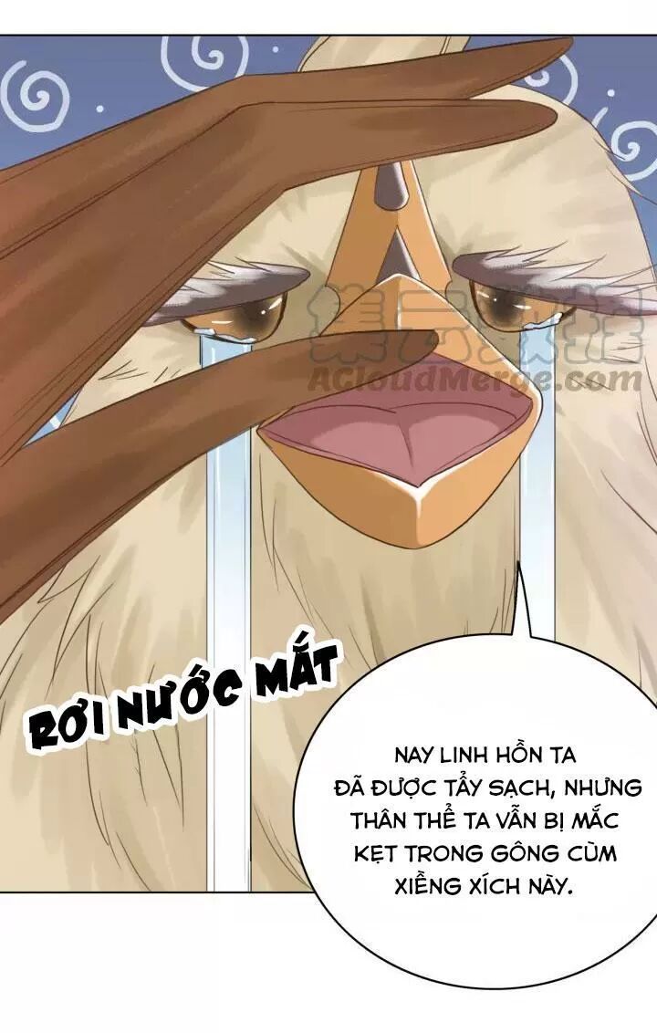 cực phẩm phế vật tiểu thư chapter 107 18