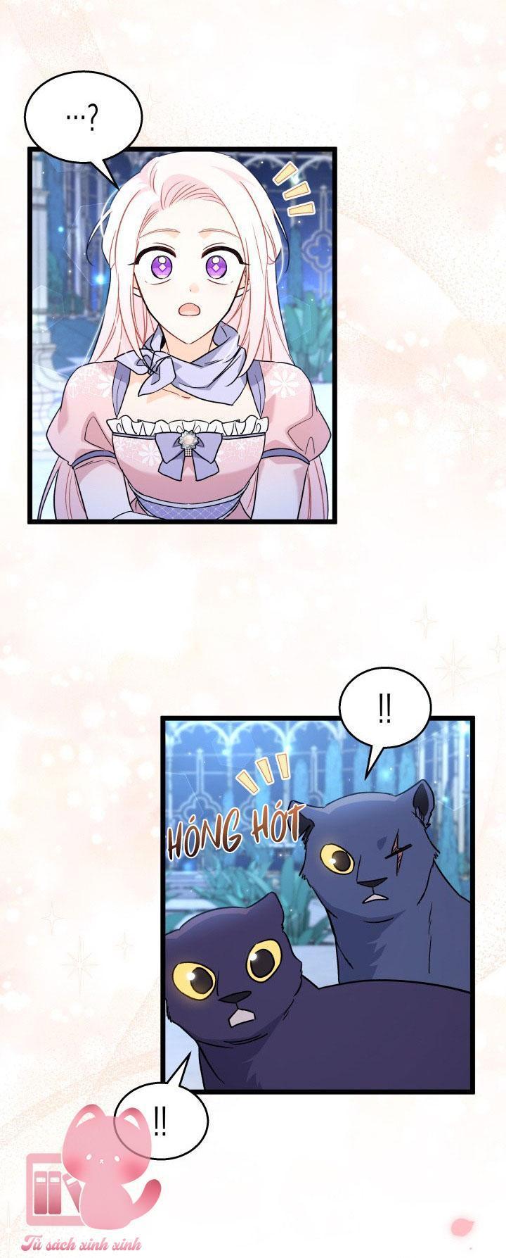 quan hệ cộng sinh giữa báo đen và thỏ trắng chapter 107 40