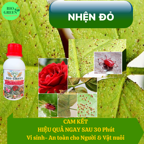 Chế phẩm sinh học trừ sâu rầy, rệp sáp, bọ trĩ, nhện đỏ,bọ cánh cứng.v.v, không độc hại BIOGREEN555 chai 100ml