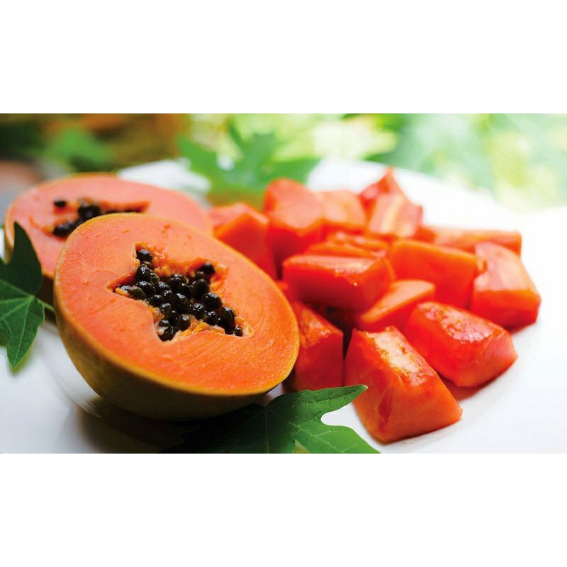 Cây đu đủ lùn ruột đỏ siêu trái