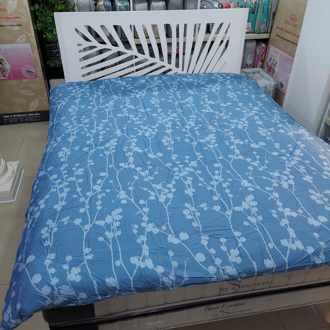 Chăn đông Sông Hồng 2mx2.2m chất cotton
