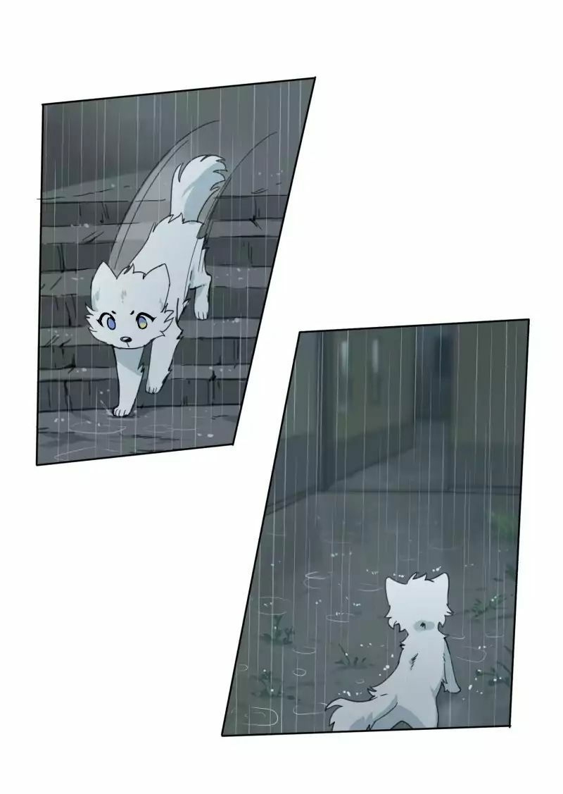 lumine - cội nguồn ánh sáng chapter 23 38