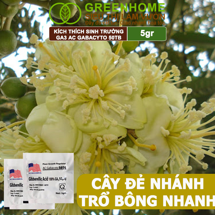 Phân Bón Lá GA3 Greenhome, 40TB, Viên 5gr, Dạng Sủi Tiết Kiệm, Thúc Đẩy Ra Đọt, Bông Lớn, Trái To