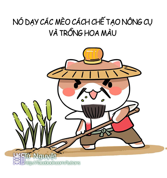 nếu lịch sử là một bầy mèo chapter 3 28