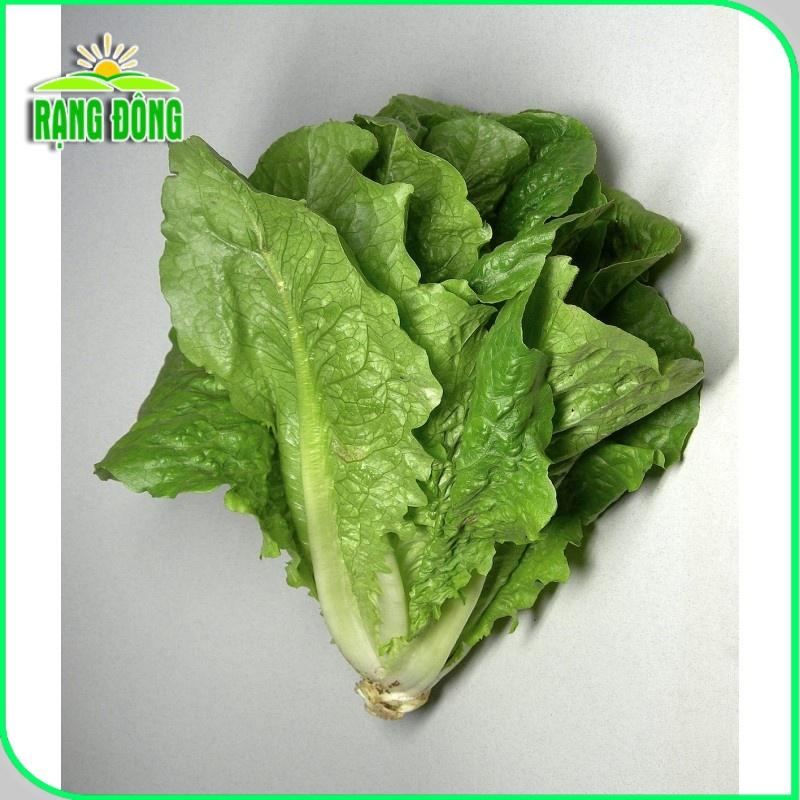 Hạt giống Xà Lách Romaine (2g~1000 hạt) chịu nhiệt tốt, giàu dinh dưỡng, trồng quanh năm - Hạt giống Rạng Đông