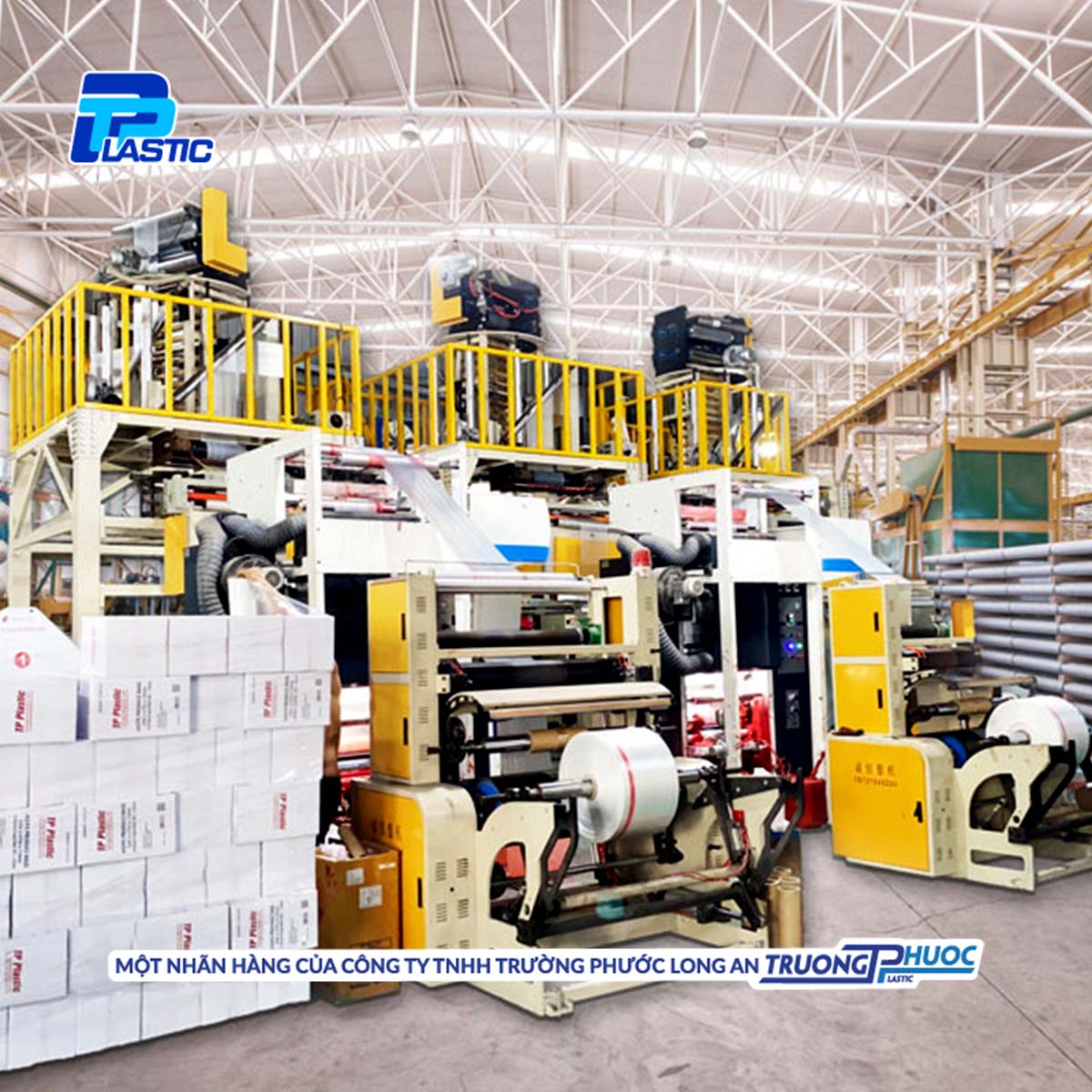 Găng tay TPP, Nhựa TPE, 100 cái/hộp