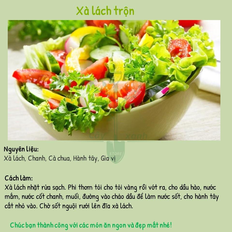 Hạt Giống Xà Lách Búp Đăm, Cuốn Búp Chắc, Kháng Bệnh, Chịu Mưa - Phú Nông Seeds