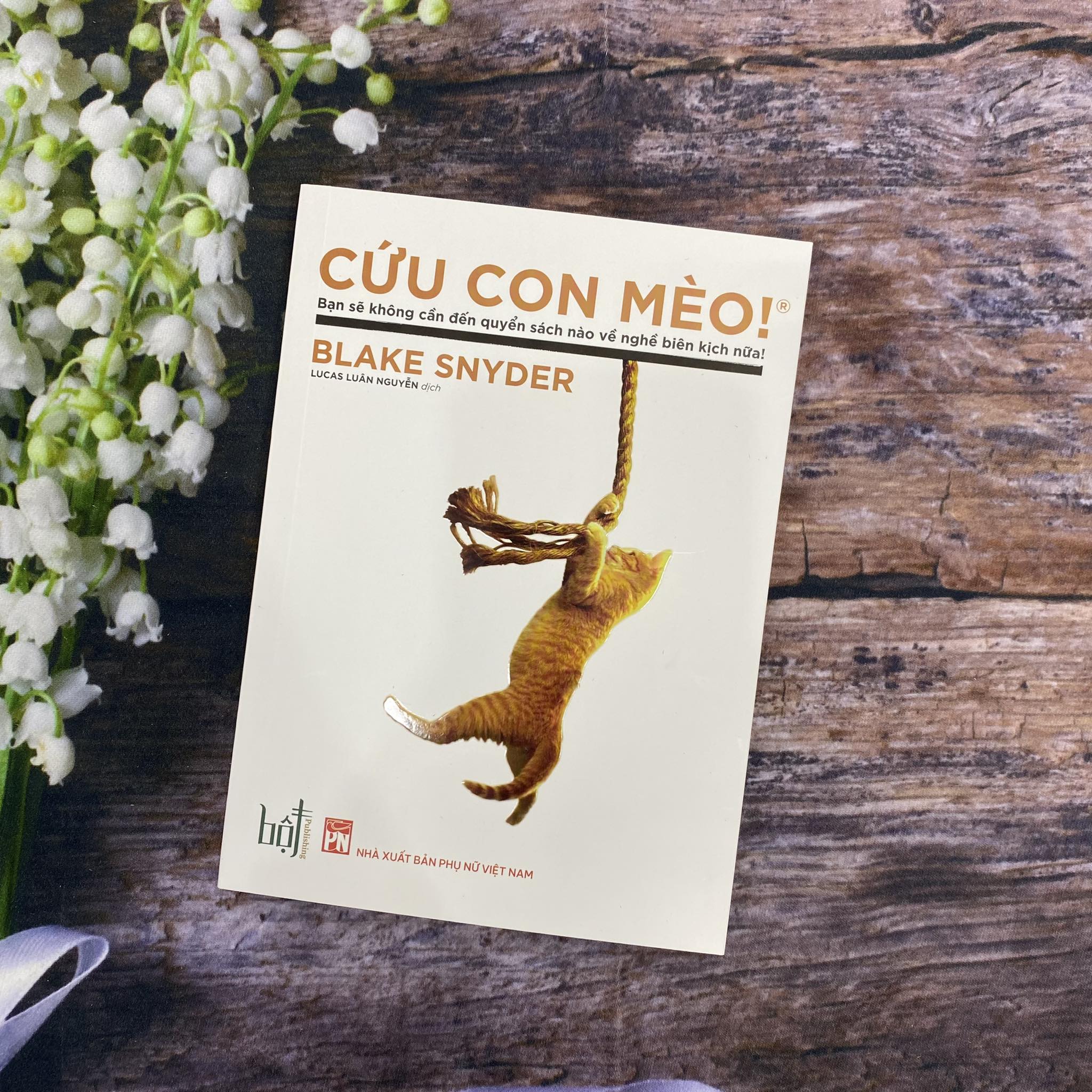 Cứu Con Mèo!